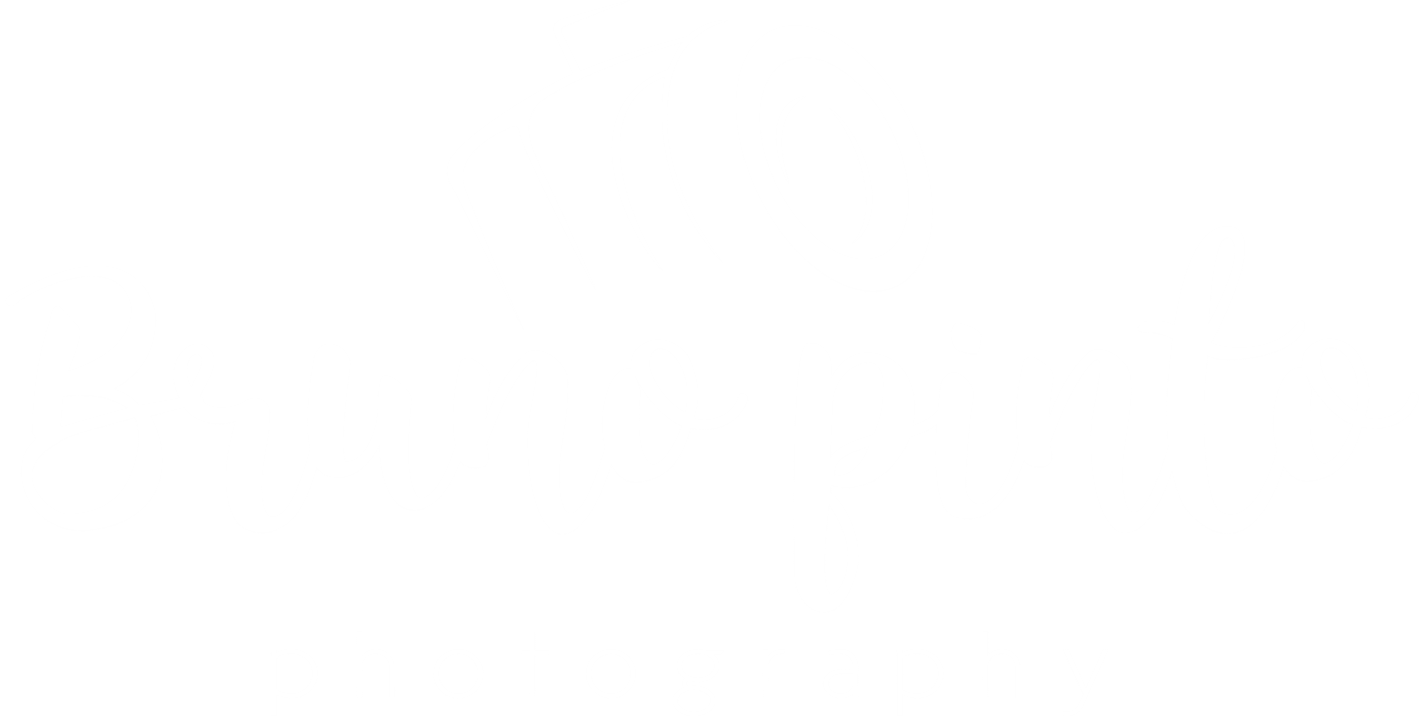 Bruno Pinto Photography